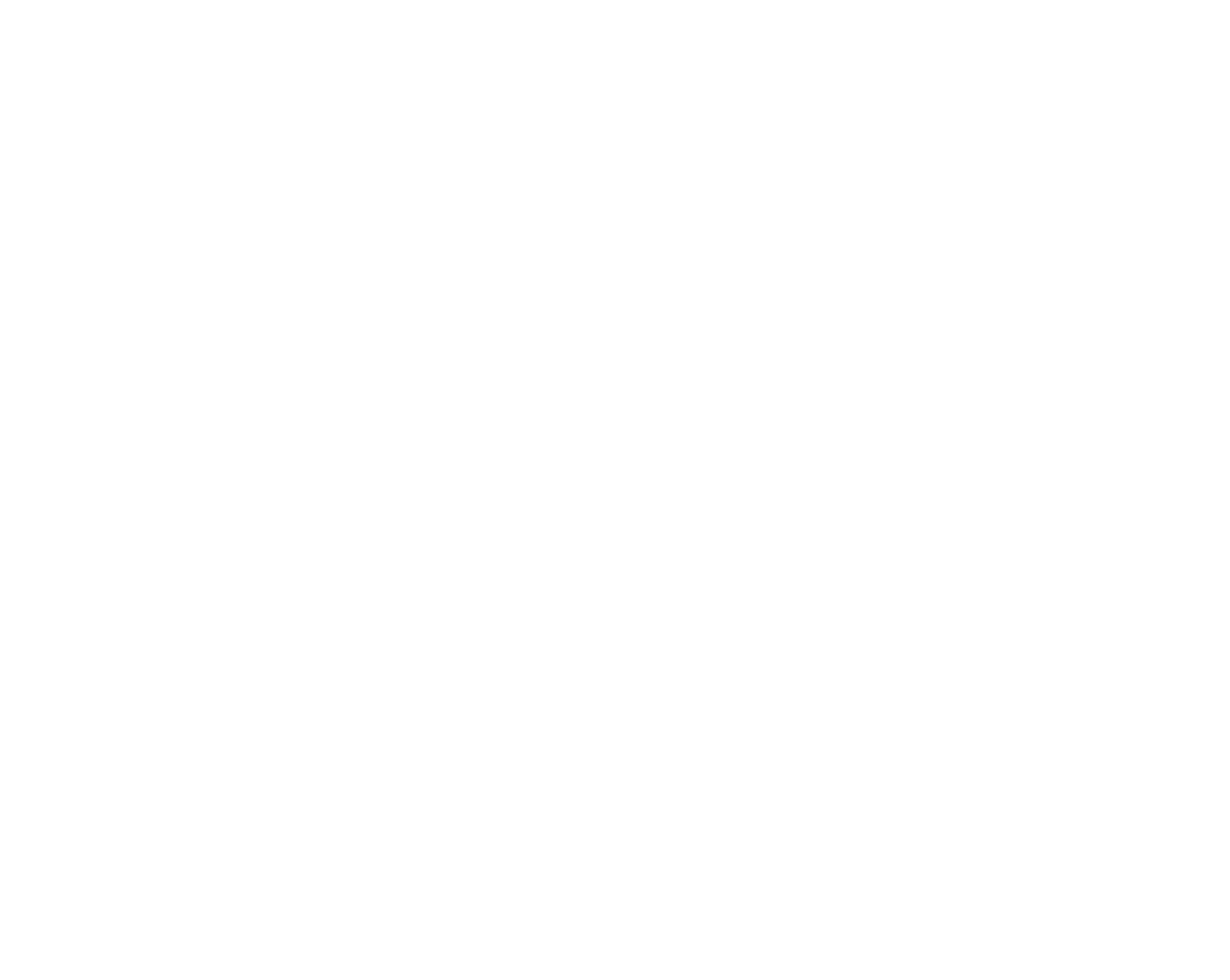 T-Socks beyaz logo